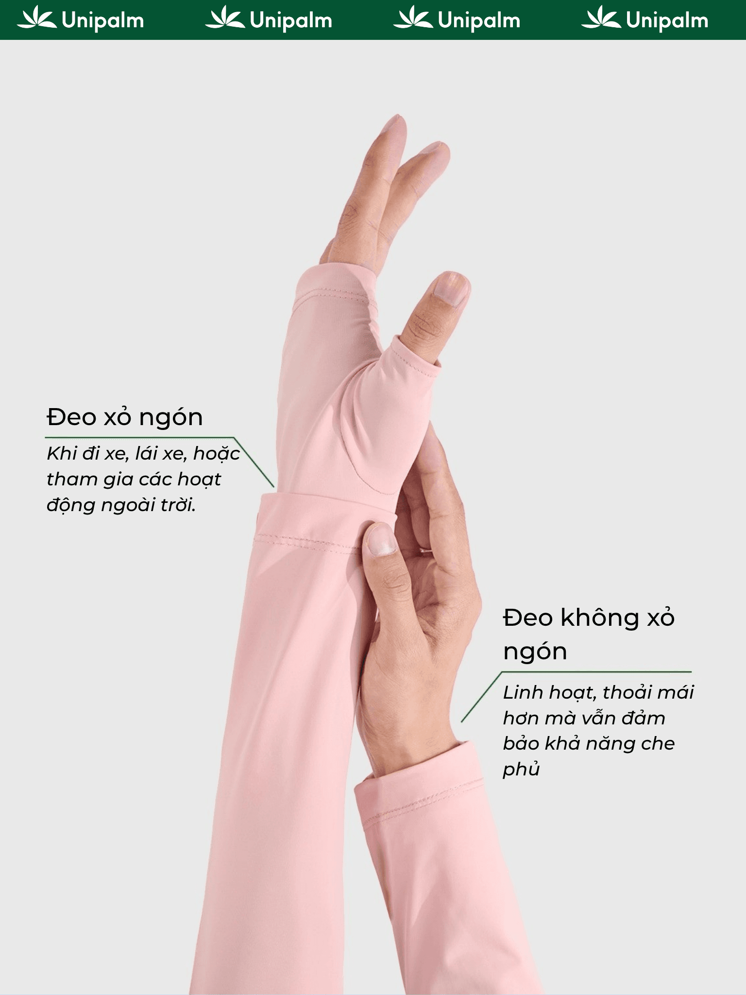 Mô tả 4