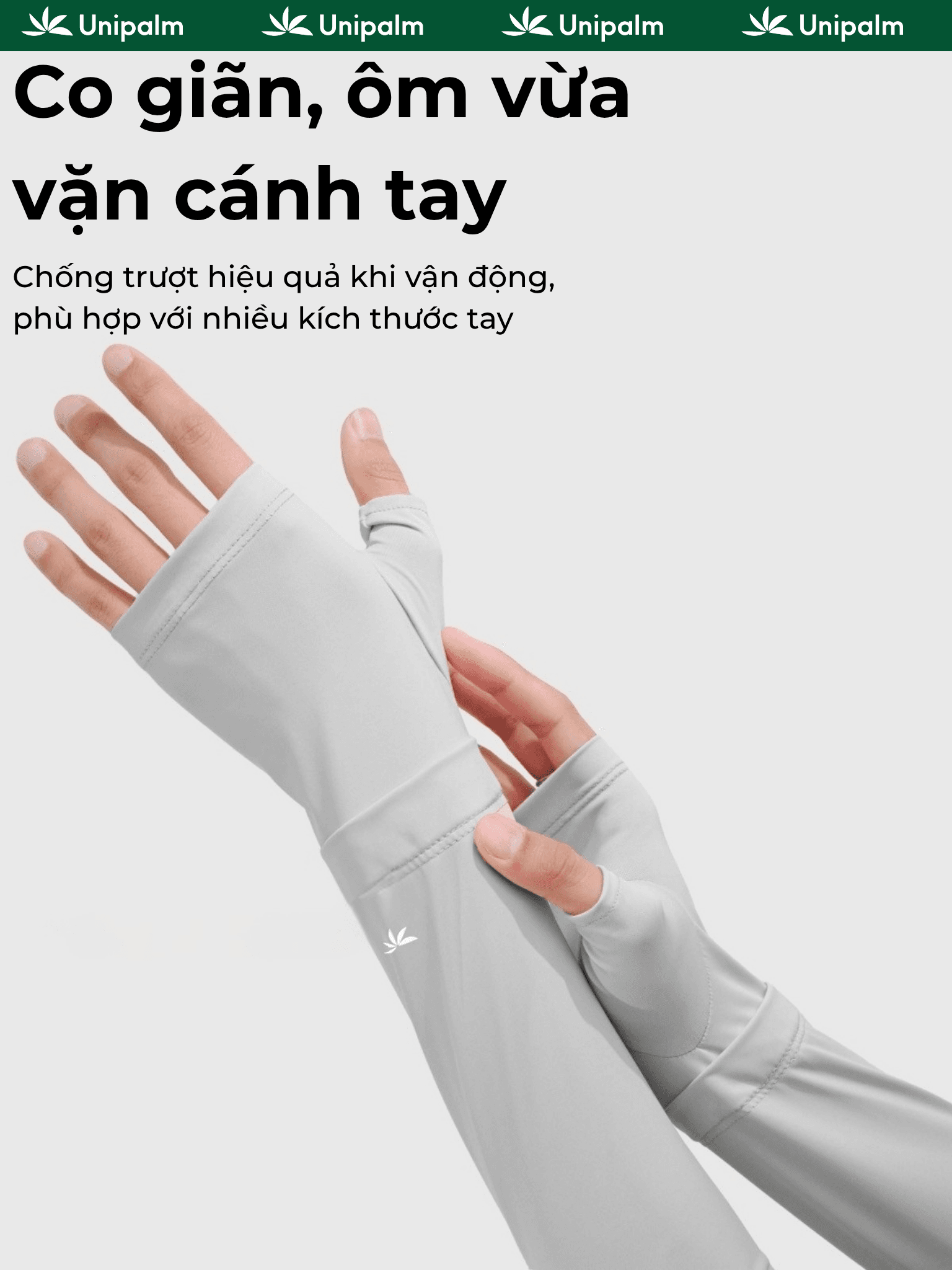 Mô tả 6