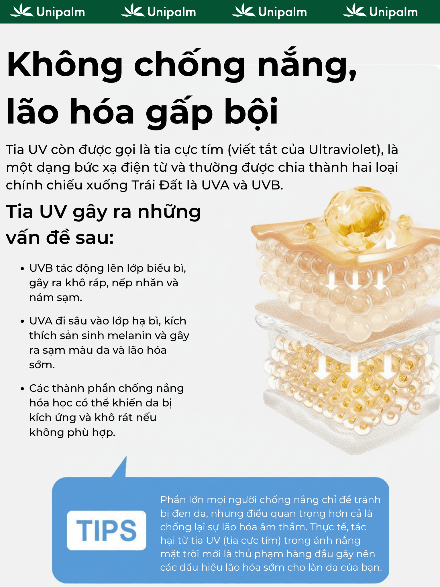 Mô tả 2