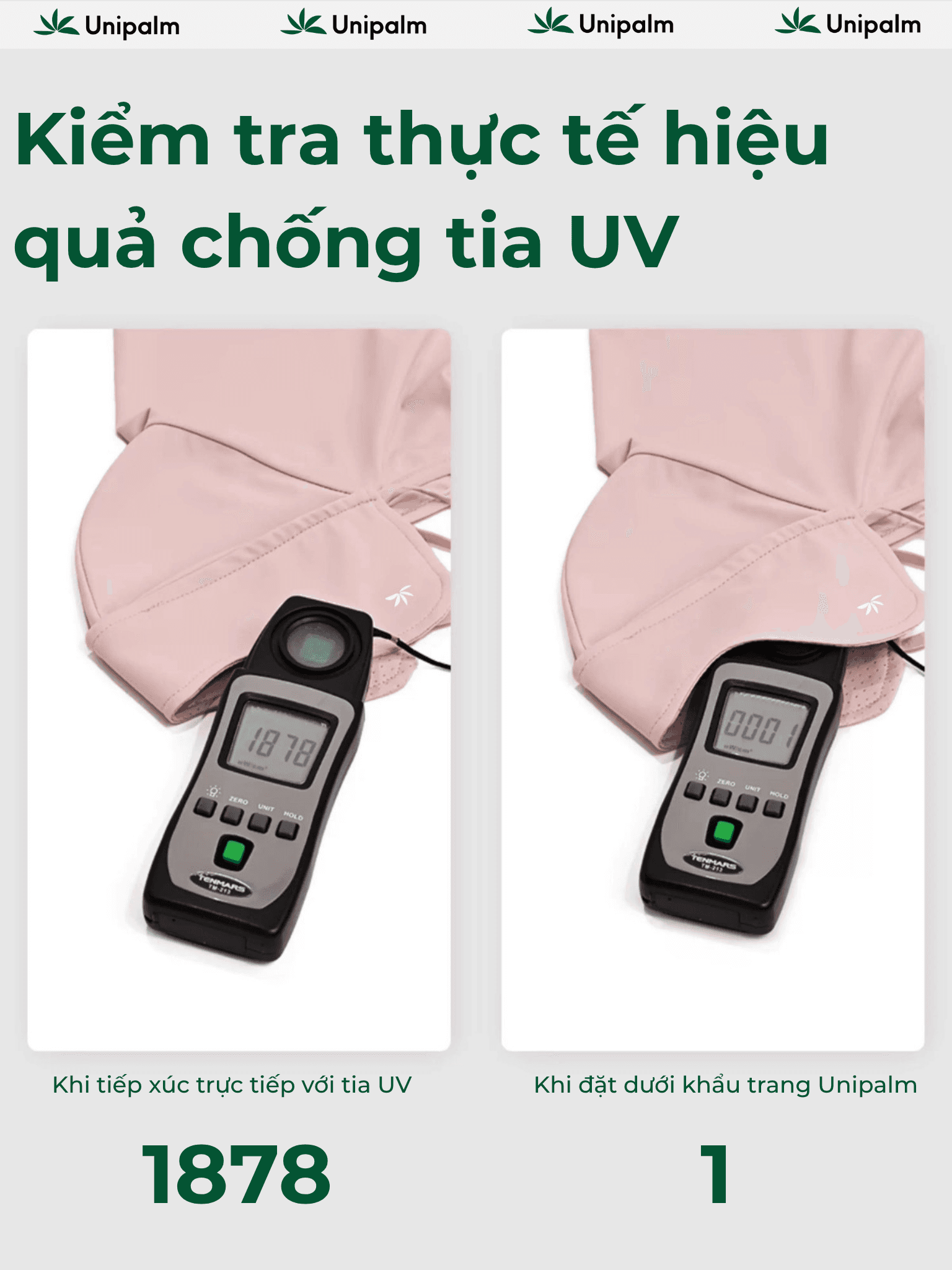 Mô tả 5