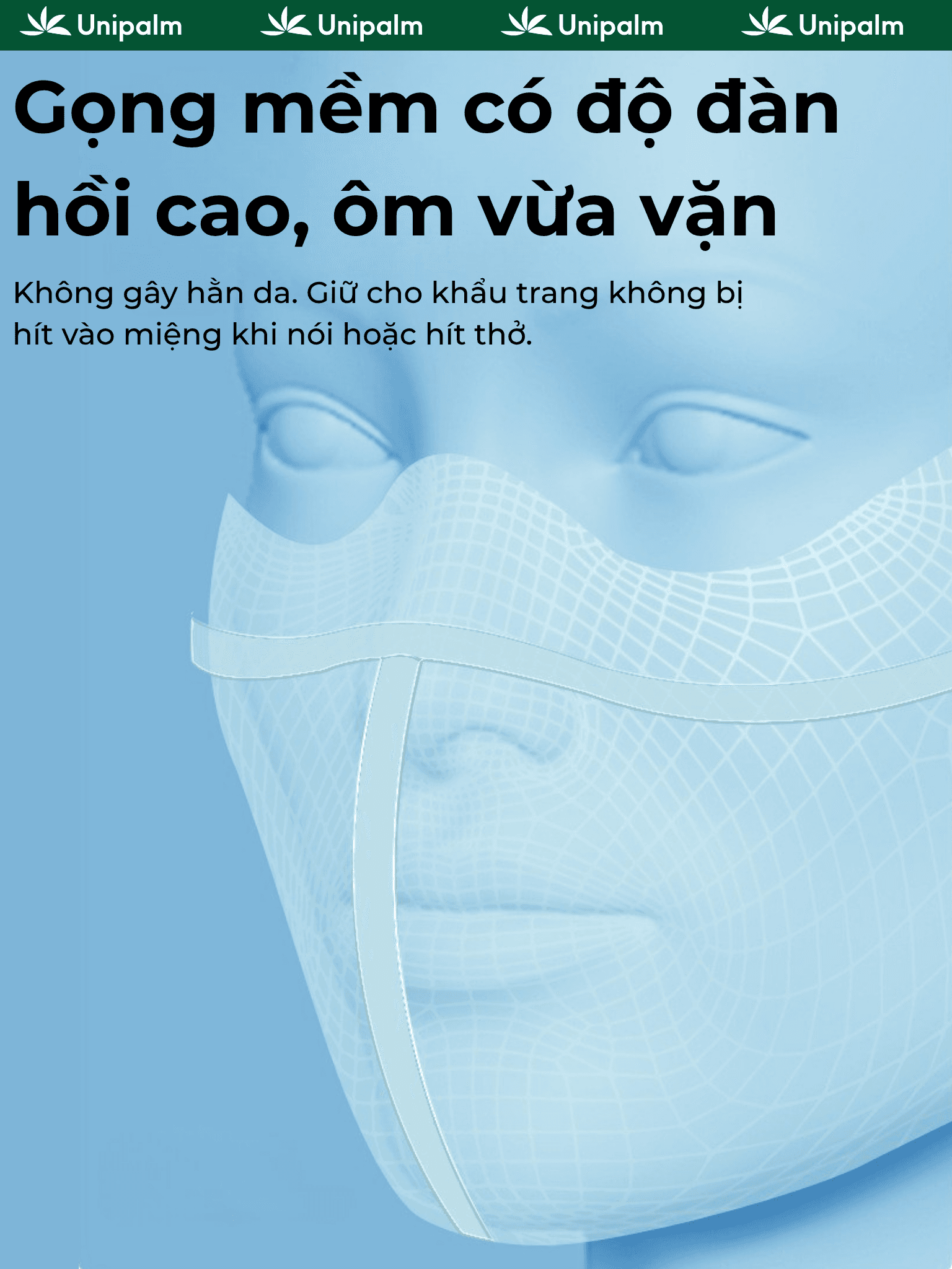 Mô tả 6